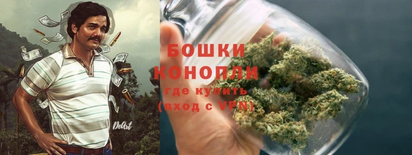 спайс Касимов