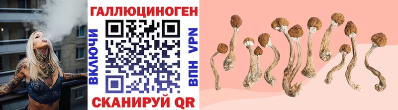 Галлюциногенные грибы мицелий  Купить закладки  Нюрба 